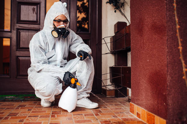 Reliable Cockroach Control contractor in Adrian, MI by Nex Pest Control